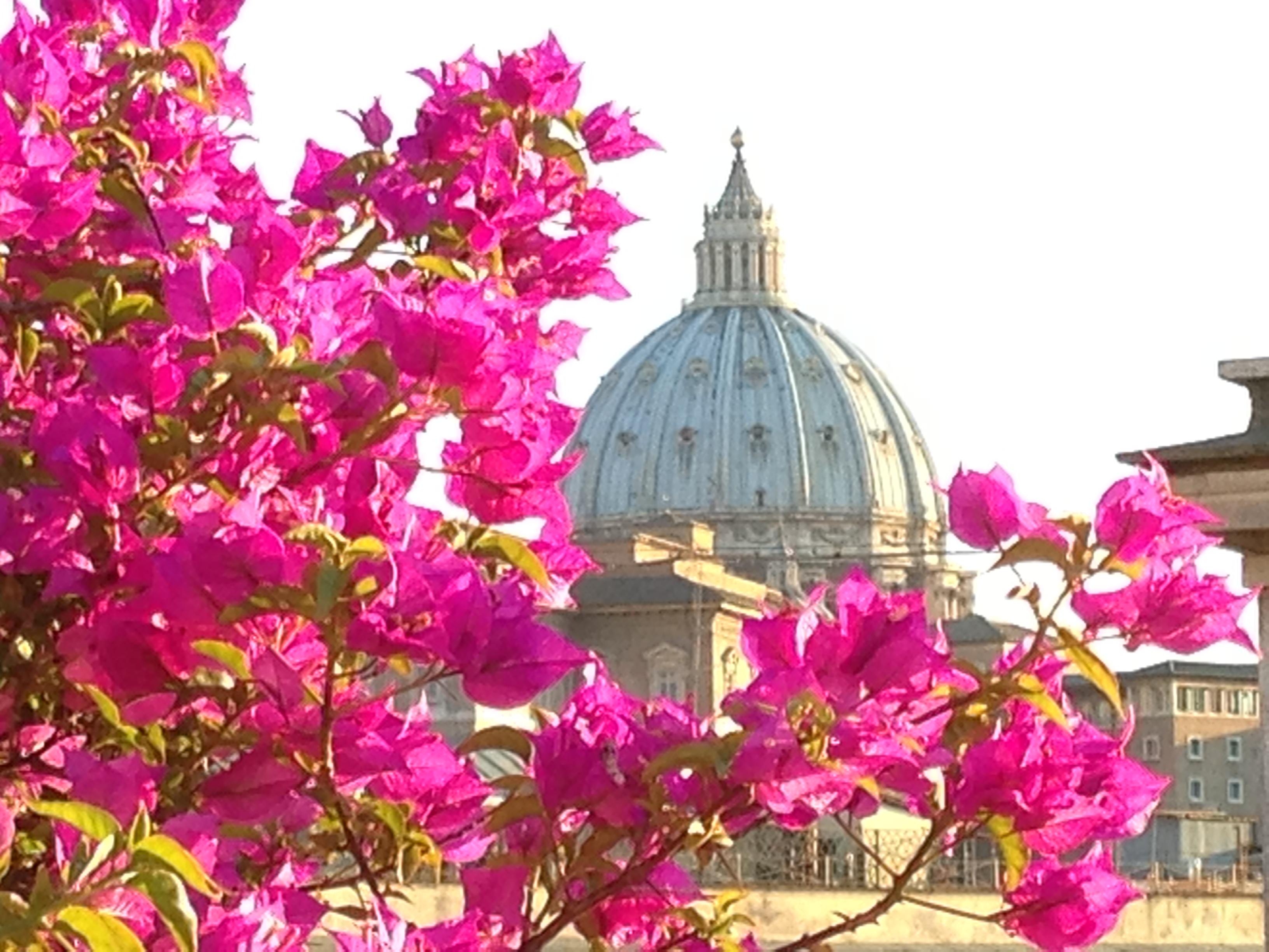 Hotel Dei Consoli Vaticano Róma Kültér fotó